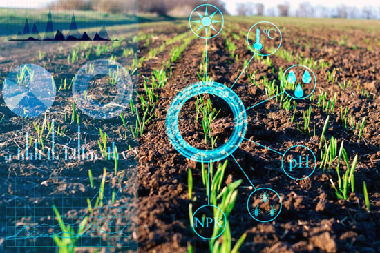Image of data illustrations around crops in field courtesy of Adobe Stock.