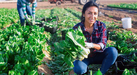 Woman working in produce field, courtesy of Adobe Stock.