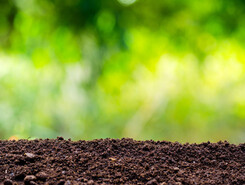 Soil image courtesy of Adobe Stock.