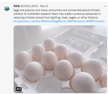 Tweet of the Week May 10 2023 poultry production