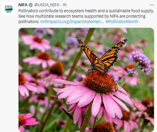 Tweet of the Week June 7 2023 pollinators