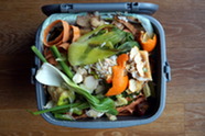 Food waste. Image courtesy of Adobe Stock