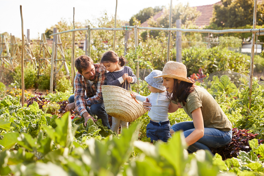 Family exploring a vegetable garden. Image courtesy of Adobe Stock.
