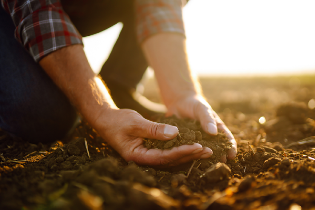 Farmer holding soil. Image courtesy of Adobe Stock.