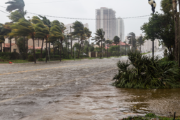 Flooding from Hurricane Irma. Image courtesy of Adobe Stock.