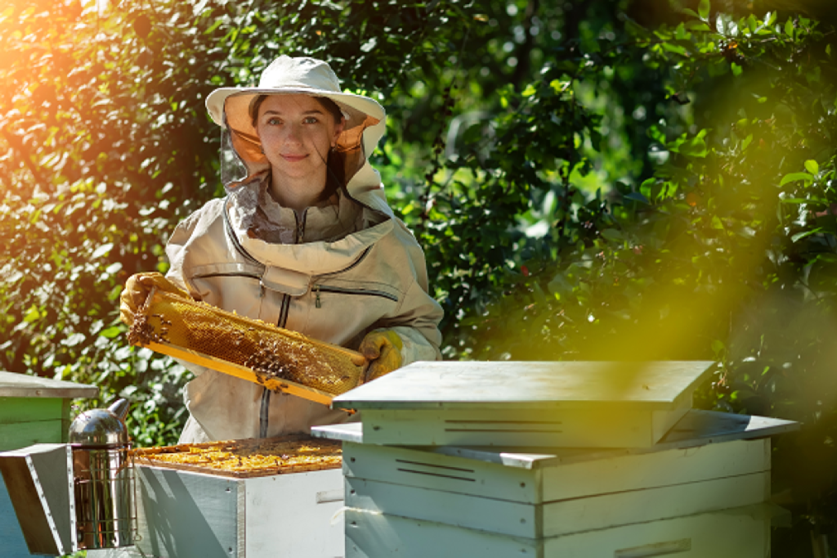 Beekeeper inspecting hive. Image courtesy of Adobe Stock.