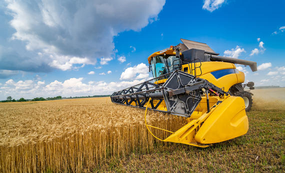 Harvester in Wheat Field