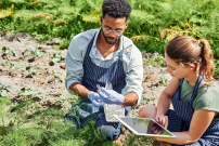 Researchers conducting field work. Image courtesy of Adobe Stock.