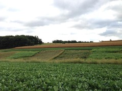 Experimental watershed in the Mahantango Creek drainage near the town of Leck Kill. Image courtesy of Penn State.