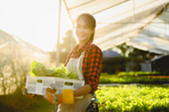 Woman holding a box of produce. Image courtesy of Adobe Stock.