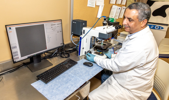 Dr. Adel Moawad working in his lab. Image by Rebecca Miller, Fort Valley State University. 