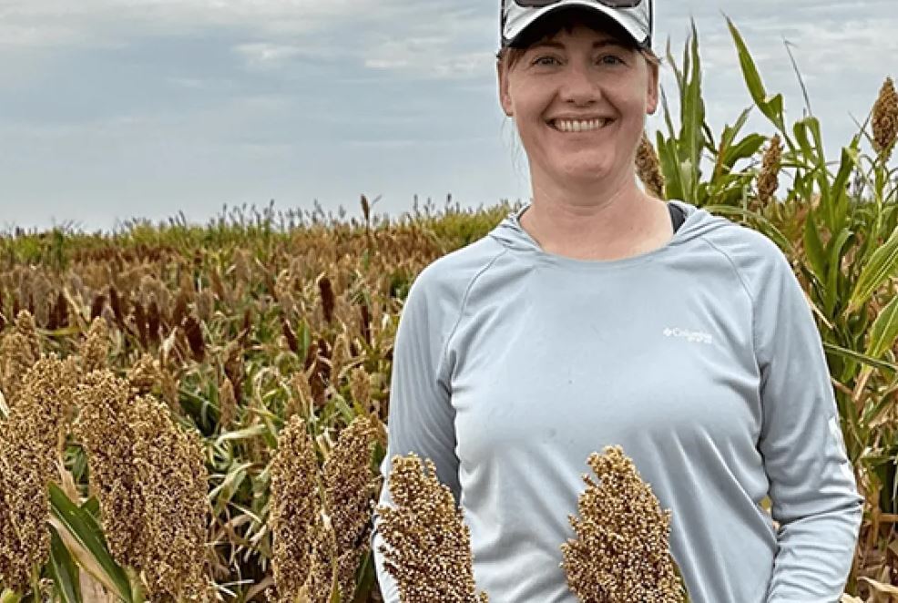 Dr. Melinda Yerka standing in a grain sorghum field. Image courtesy of the University of Nevada, Reno. 