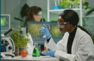 Researcher in lab.  Image courtesy of Adobe Stock.