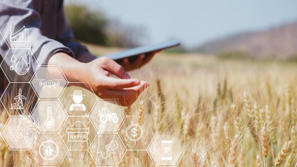 Farmer analyzing crop data via tablet. Image courtesy of Adobe Stock. 