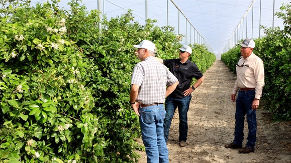 Inside the CUPS system at the Dundee Citrus Growers Association. Image courtesy of Arnold Schumann/UF/IFAS. 