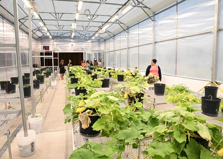 WVSU Agriculture Environmental Sciences Greenhouses. Image courtesy of West Virginia State University.