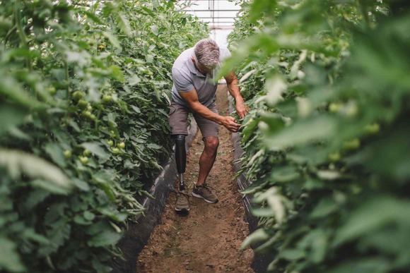 Farmer working in greenhouse. Image courtesy of Adobe Stock.