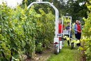 Cornells team demonstrates robot technology. Image courtesy of Ryan Young/Cornell University.