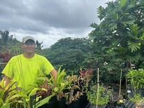 Rapid Response project is restoring native landscapes. Image courtesy of University of Hawai’i Maui College.