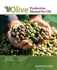 Olive oil production manual, published by UC ANR, is the first of its kind in the U.S.  Image courtesy of UC Regents.