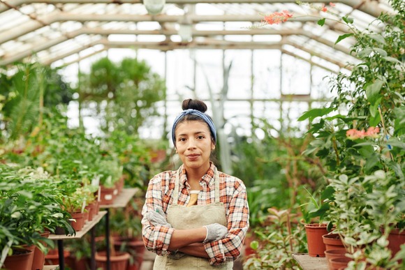 Hispanic farmer in greenhouse. 