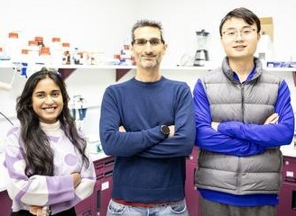 Shriya Jitendra Kalburge, left, and Yining Zhang, right, teamed with Dr. Ran Drori on the study. Image courtesy of YU. 