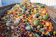 Dumpster of spoiled produce. Image courtesy of Adobe Stock.