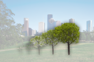 Urban tree graphic. Courtesy of MIT's Computer Science and Artificial Intelligence Laboratory.