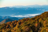 Great Smoky Mountains National Park. Image courtesy of Adobe Stock.