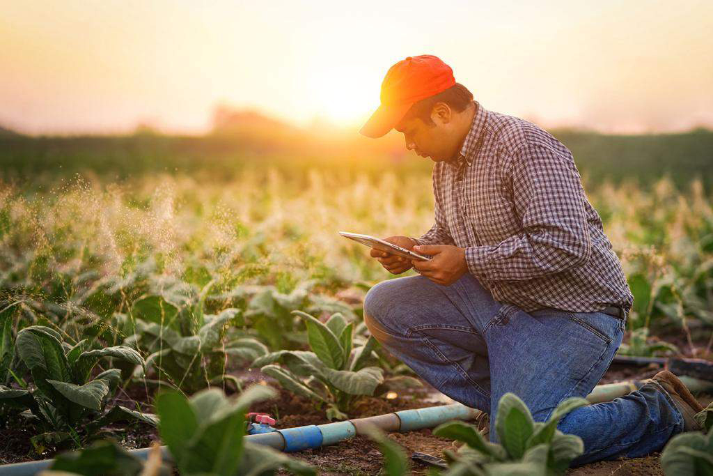 Farmer working on irrigation using tablet, courtesy of Adobe Stock.