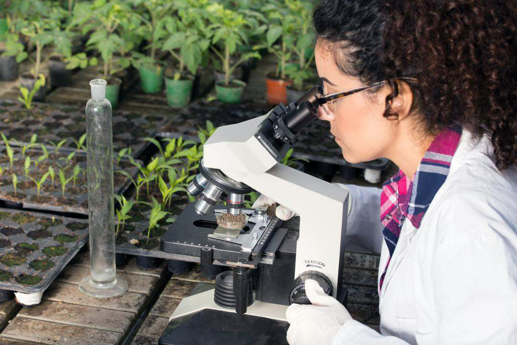 Scientist looking through a microscope-agriculture science, courtesy of Adobe Stock.