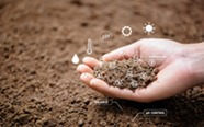 Soil testing illustration. Image courtesy of Adobe Stock.