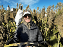 Melinda Yerka and her team at University of Nevada, Reno have are developing drought-tolerant sorghum varieties. Image University of Nevada, Reno.