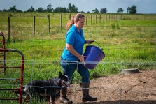 Farmer feeding livestock. USDA image. 