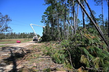Hurricane Helene damage in southeast Georgia. USDA photo by Chris Groskreutz.