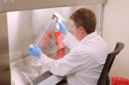 Researcher at work in the University of Nebraska-Lincoln Virology Center. Image courtesy of the University of Nebraska-Lincoln. 