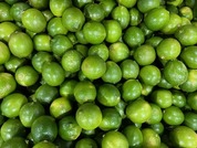 Persian Limes. Image courtesy of Peter Follett, USDA ARS.