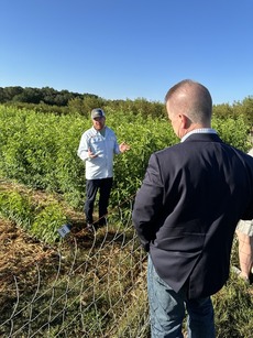 NIFA Director Dr. Jaye Hamby listening to Clemson University peach researcher.