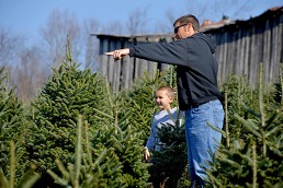 A family selecting a Fraser fir for Christmas. Image courtesy of North Carolina State University.