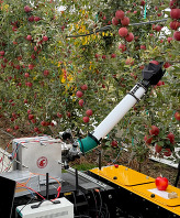 Washington State University researchers are developing low-cost robotic solutions to help the apple industry. Image courtesy of Washington State