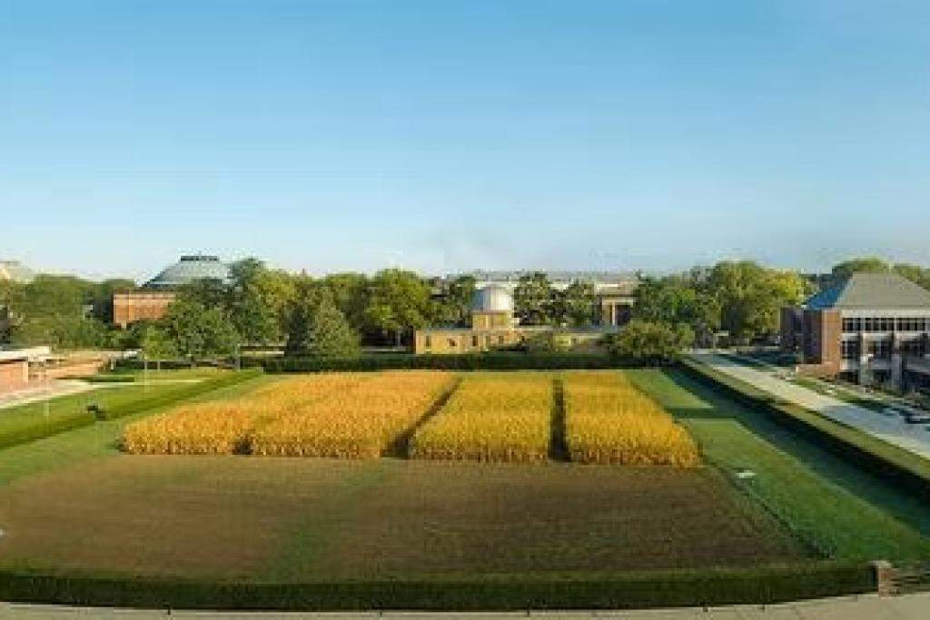 Aerial view of Morrow Plots. Image courtesy of University of Illinois Urbana-Champaign.