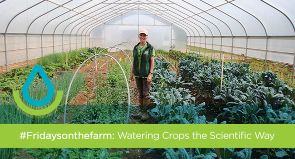 Watering Crops the Scientific Way