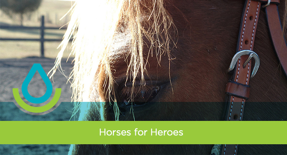 Horses for Heroes: A Pennsylvania Farm Expands Therapeutic Riding Program to Veterans and Their Families