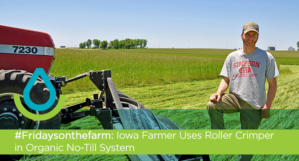 Iowa Farmer Uses Roller Crimper in Organic No-Till System