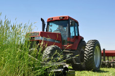 Iowa Farmer Uses Roller Crimper in Organic No-Till System 9