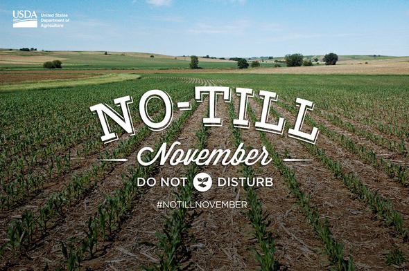 notill