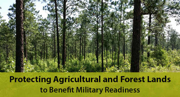 Georgia Sentinel Landscape