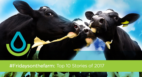 #Fridaysonthefarm: Top 10 Stories of 2017