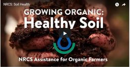 growing healthy soil video