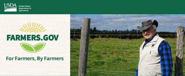 Buffalo and Buffer Strips